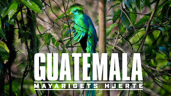 Guatemala: Mayarigets hjerte (2019)